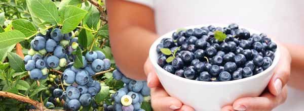 Список продуктов, которые можно съедать на ночь