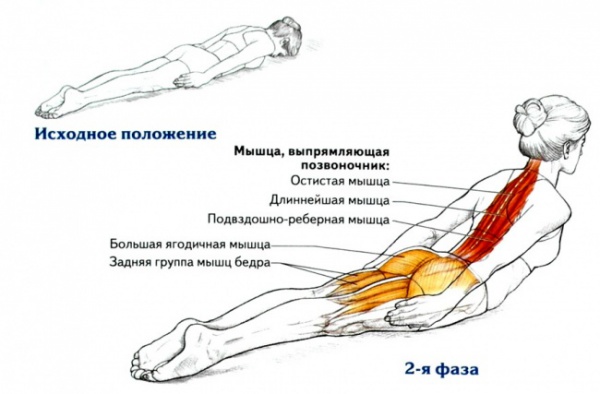 Гимнастические упражнения для похудения спины
